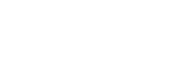 logo angelini associates